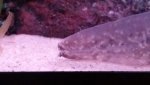 20170427_172115.jpg