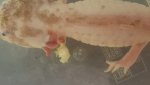 20170503_002347.jpg