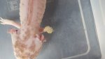 20170430_181656.jpg