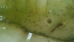 20170507_161035.jpg