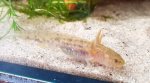 20170504_185049.jpg