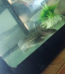 IMG_20170509_142716_733.jpg