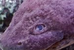 20170510_153929.jpg