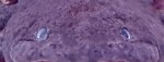 20170510_171142.jpg