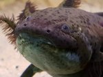 20170510_191739.jpg