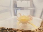 20170523_184215.jpg