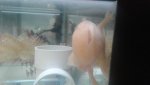 20170628_091117.jpg