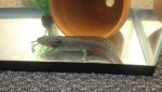 IMG_20170826_175926557.jpg