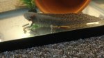 IMG_20170826_180118161.jpg