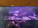 20170828_213030.jpg