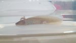 20170912_211014.jpg 20170912_211014.jpg