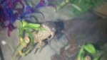 20170917_182459.jpg