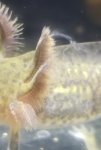 20171013_033255.jpg