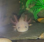 20171102_201228-1.jpg