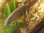 20171203_104301.jpg