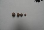 Four sizes of clay balls for the different layers in the filter.jpg