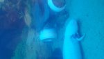 20180205_102124.jpg