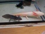 20180318_073253.jpg