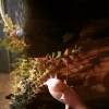 ezgif-4-075b56c15c.gif