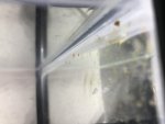 C234904A-6F1A-46E6-9C7F-5891924BB1A2.jpg