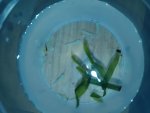 20180513_002622.jpg