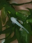 20180512_235959.jpg