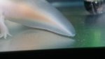 20180615_185132.jpg
