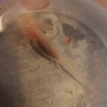 20180618_094103.jpg