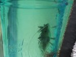 20180627_134859.jpg