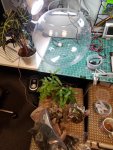 1_sphere_terrarium.jpg
