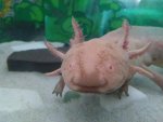 IMG_20180813_090318960.jpg