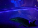 IMG_20180822_123711.jpg