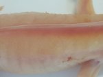 20180924_111247.jpg