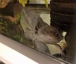 20171114_023128.jpg