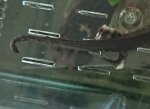 _20180928_083804.JPG