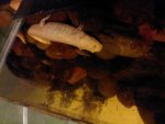 20180725_002253.jpg