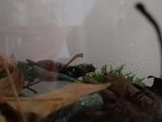 20181019_160423.jpg