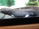 20181103_172151.jpg