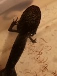 IMG_20181107_195731.jpg