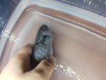20181111_140319.jpg