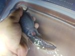 20181111_140328.jpg