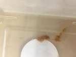CCB3295C-7608-45AC-81C1-3C1D320AA791.jpg