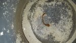 20190203_133631.jpg