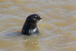 IMG_3995.jpg