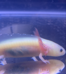 Screen Shot 2019-03-04 at 6.24.25 PM.png