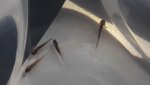 20190401_230453.jpg