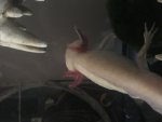 9A4D2B11-EF9F-442E-ADC4-2ACDAB2C23D5.jpg