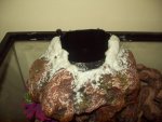 Picture from camera 011.jpg