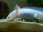 100_1065.jpg 100_1065.jpg
