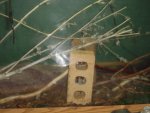 DSC00083.jpg